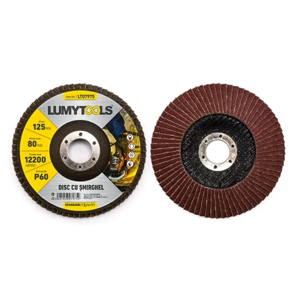 Set 2 discuri cu şmirghel