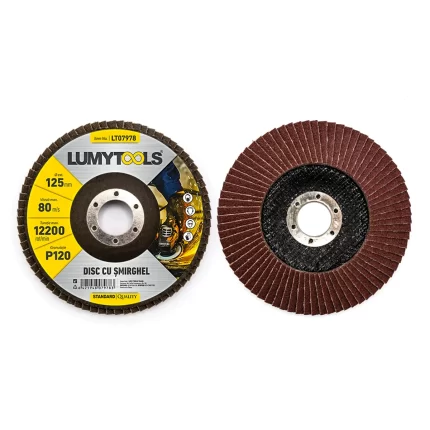 Set 2 discuri cu şmirghel